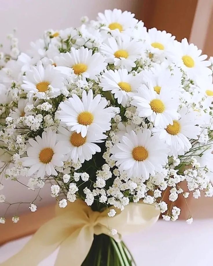Daisy arrangement