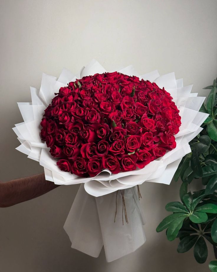 Rose bouquet
